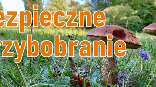 BEZPIECZNE GRZYBOBRANIE-POLICJA  PROSI O ROZWAŻNOŚĆ