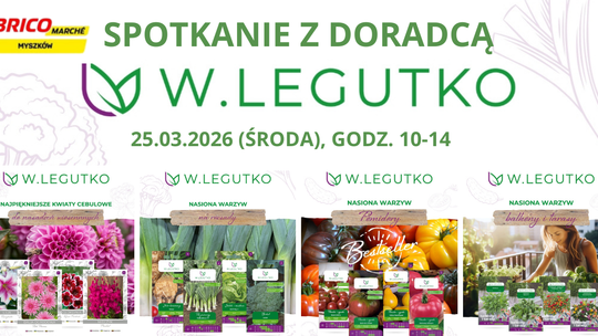 Brico Marche doradzi w doborze nasion! Będą prezenty dla klientów