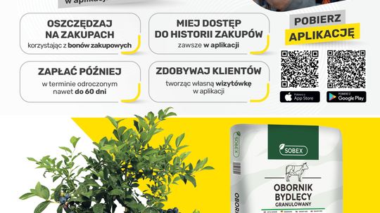 Brico Marche Myszków. Promocje od 8 kwietnia. Dla firmy i dla domu