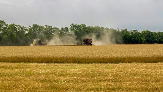 Dlaczego mądre przekazanie gospodarstwa to klucz do rozwoju agrobiznesu?