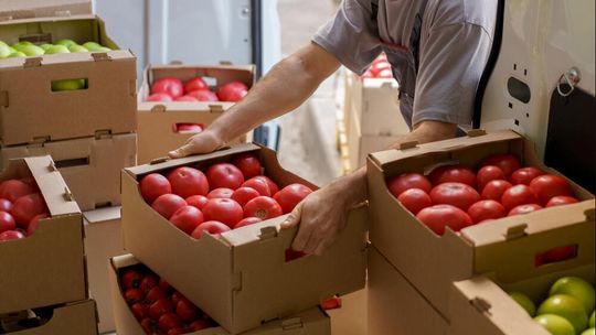 Eko made in Poland. Import i eksport na rynku żywności ekologicznej- rozmowa z producentami