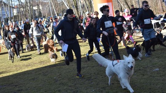 MYSZKÓW. PSIA SOBOTA NA DOTYKU JURY CZYLI VII JURAJSKI DOKTREKKING. BIEGALI Z PSAMI. ZDJĘCIA