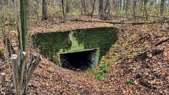 Nowe życie historycznych bunkrów