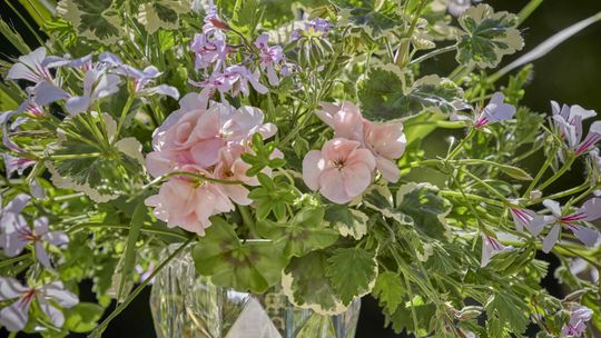 PRZEZ INTERNETOWĄ ZNAJOMOŚĆ STRACIŁA PIENIĄDZE