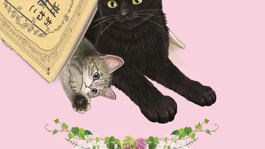 Zaleca się kolejnego kota Shō Ishida