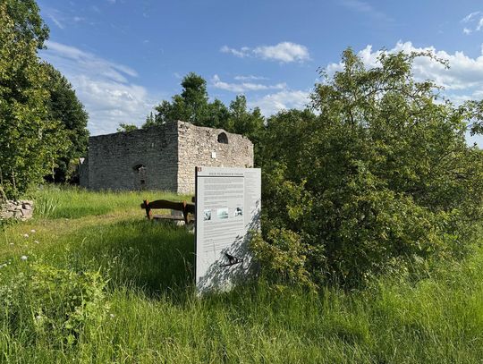 Atrakcja Żarek. Ale zakrzaczona!