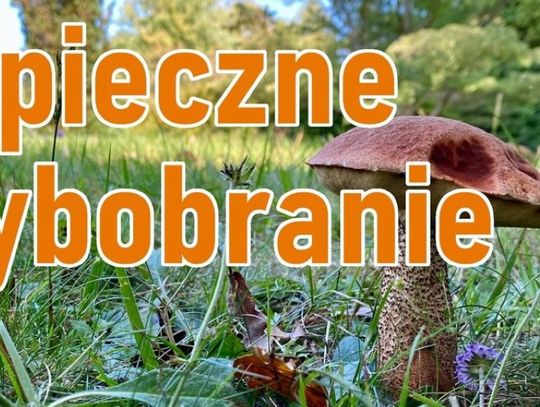 BEZPIECZNE GRZYBOBRANIE-POLICJA  PROSI O ROZWAŻNOŚĆ