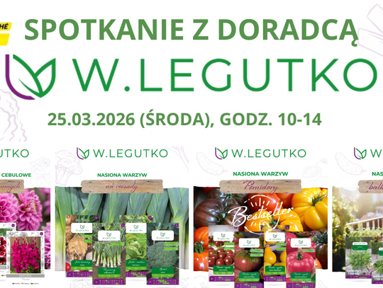 Brico Marche doradzi w doborze nasion! Będą prezenty dla klientów