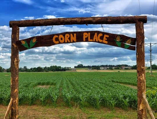 CORN PLACE. LABIRYNT Z KUKURYDZY. W SOBOTĘ OTWARCIE!