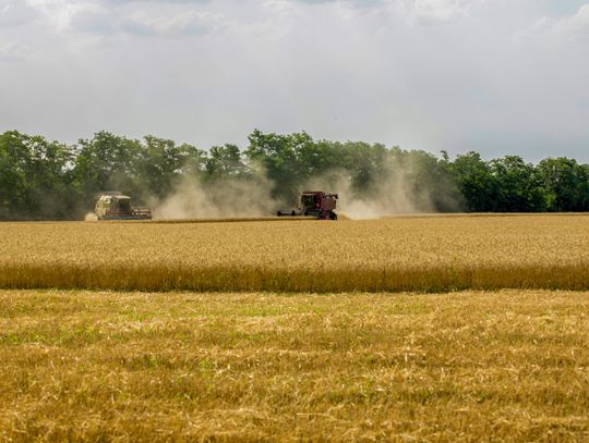Dlaczego mądre przekazanie gospodarstwa to klucz do rozwoju agrobiznesu?