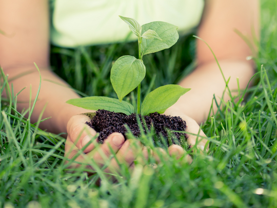Dzień Długu Ekologicznego – Ziemia nie nadąża za naszym tempem. Sprawdź, co możesz zmienić