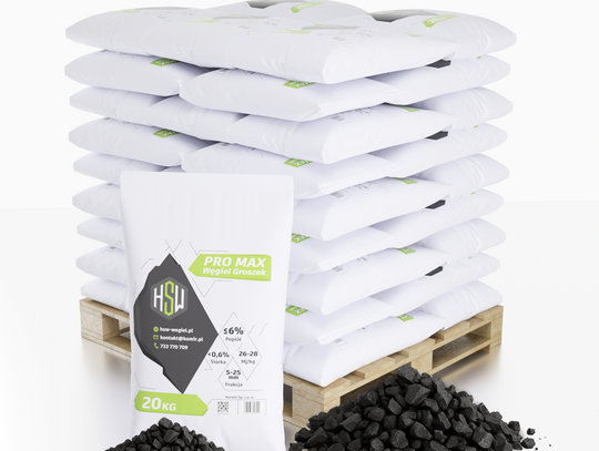 Ekogroszek z Kazachstanu. Ryzykowny eksperyment czy sposób na tańsze ogrzewanie? Sprawdzamy fakty