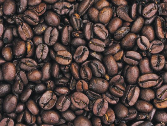 Fakty i mity nt. kawy– „mała czarna” a nasze zdrowie