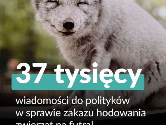 Historyczny moment: Sejm przegłosował zakaz hodowli na futro!