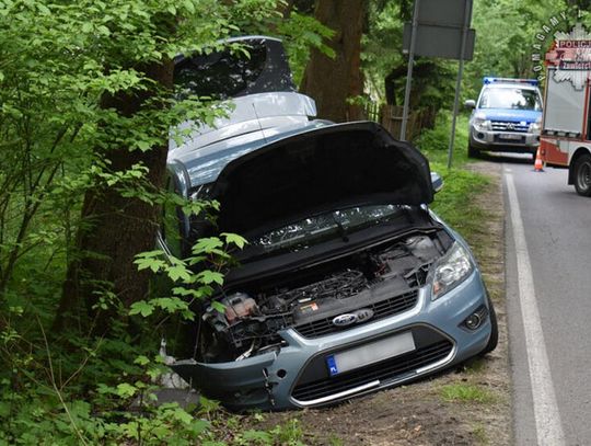 MIAŁA PONAD 4 PROMILE! MIAŁA PONAD 4 PROMILE!