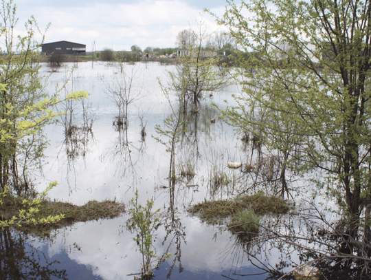 MIASTO SPRZEDA BAJORO I PO PROBLEMIE?