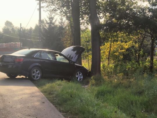 MYSZKÓW. PIJANY KIROWCA WJECHAŁ W DRZEWO I RAZEM Z PASAŻEREM  UCIEKŁ Z MIEJSCA ZDARZENIA