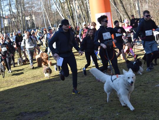 MYSZKÓW. PSIA SOBOTA NA DOTYKU JURY CZYLI VII JURAJSKI DOKTREKKING. BIEGALI Z PSAMI. ZDJĘCIA