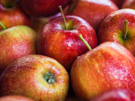 Naukowo o jabłkach i soku jabłkowym! Co mówią badania na ten temat?