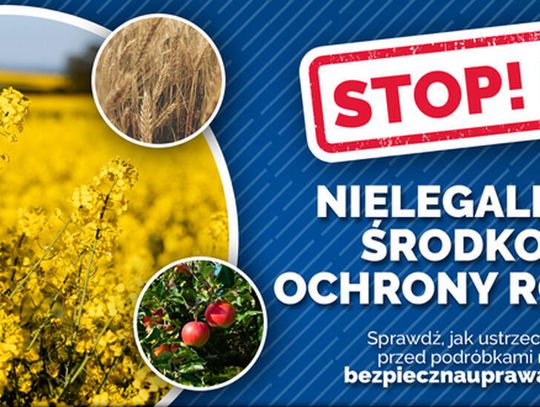 Nielegalne środki ochrony roślin. Spalone pola Nielegalne środki ochrony roślin. Spalone pola