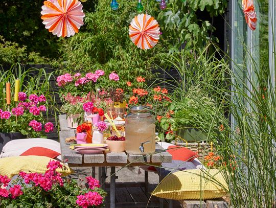 Pelargonie w kreatywnych ogrodach inspirowanych naturą