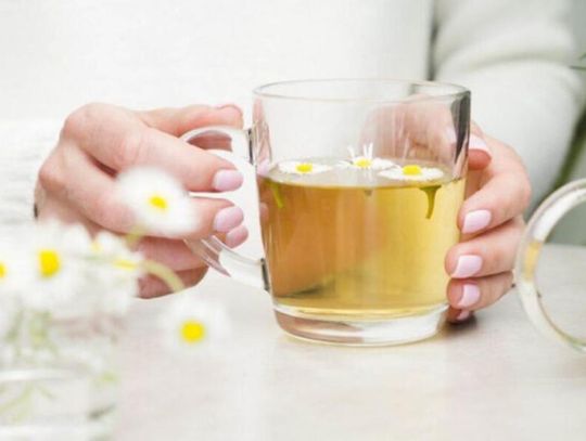 PESTYCYDY W LEKU! FUNDACJA PRO-TEST PRZEBADAŁA HERBATKI RUMIANKOWE