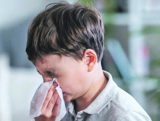 Powrót do szkoły, powrót alergii? Dlaczego dzieci narzekają na swędzenie oczu w szkole?