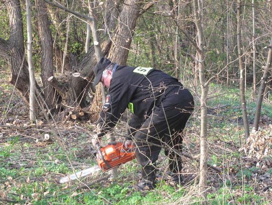 SPRZĄTALI POMNIK PRZYRODY