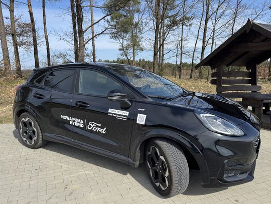 TEN KOT FORDA MA W SOBIE COŚ