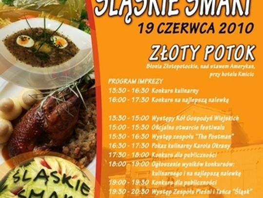 V FESTIWAL ŚLĄSKIE SMAKI 