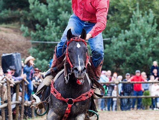 VI Festiwalu Miłośników Koni i Muzyki „Z Kopyta” 9-10.08.25r.
