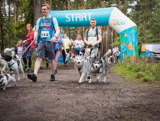 VI JURAJSKI Dogtrekking w Kostkowicach