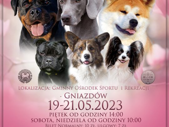 Wystawa psów rasowych w Gniazdowie 2023