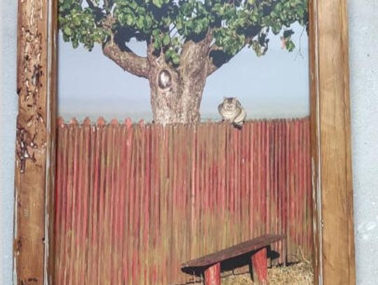 Wystawa „Szukanie piękna w małych rzeczach i ulotnych chwilach- opowieść podlaska”