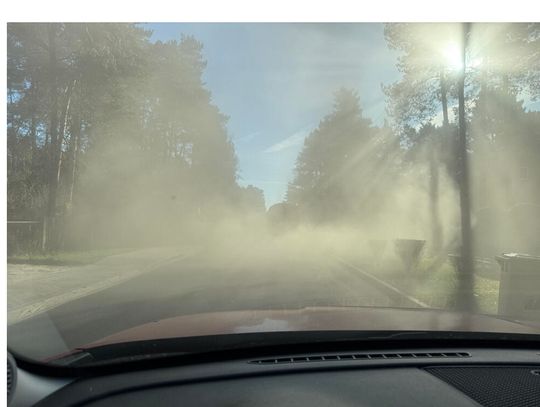 ZAMIATARKA CZY KURZARKA?