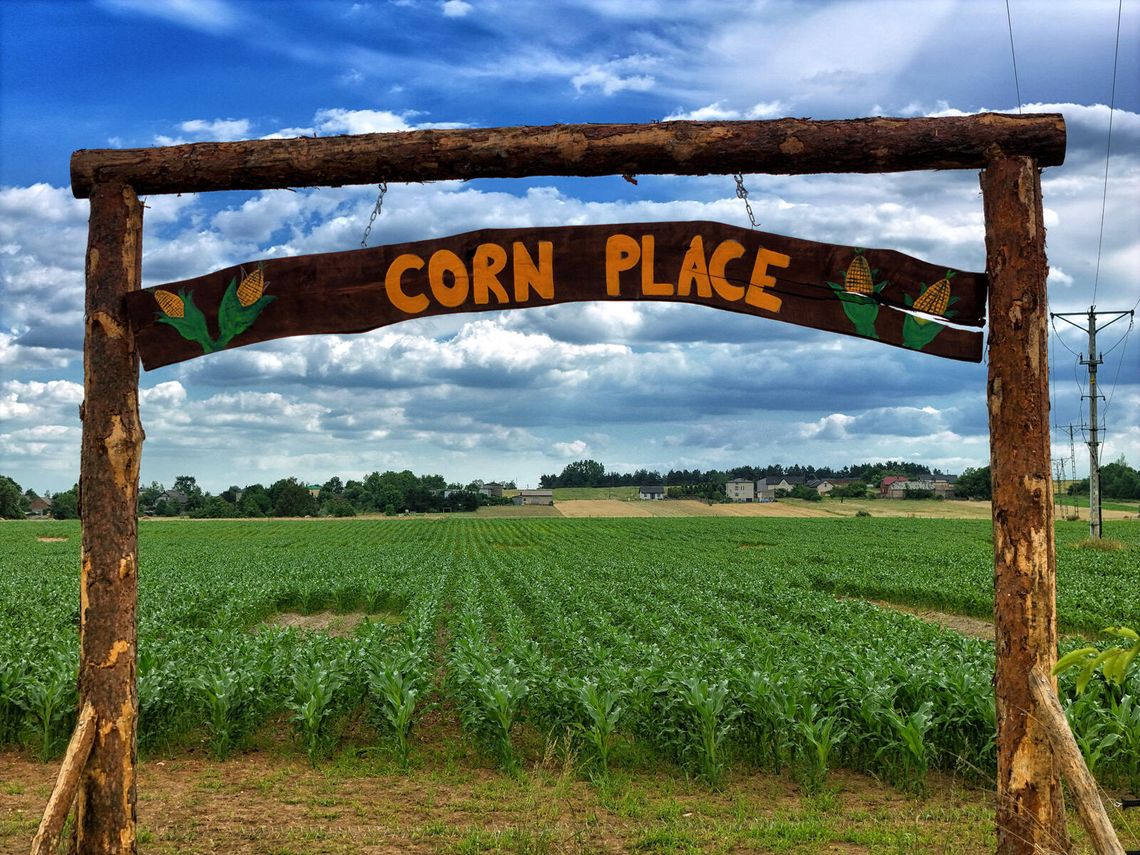 CORN PLACE. LABIRYNT Z KUKURYDZY. W SOBOTĘ OTWARCIE!