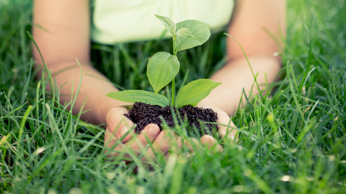 Dzień Długu Ekologicznego – Ziemia nie nadąża za naszym tempem. Sprawdź, co możesz zmienić Dzień Długu Ekologicznego – Ziemia nie nadąża za naszym tempem. Sprawdź, co możesz zmienić