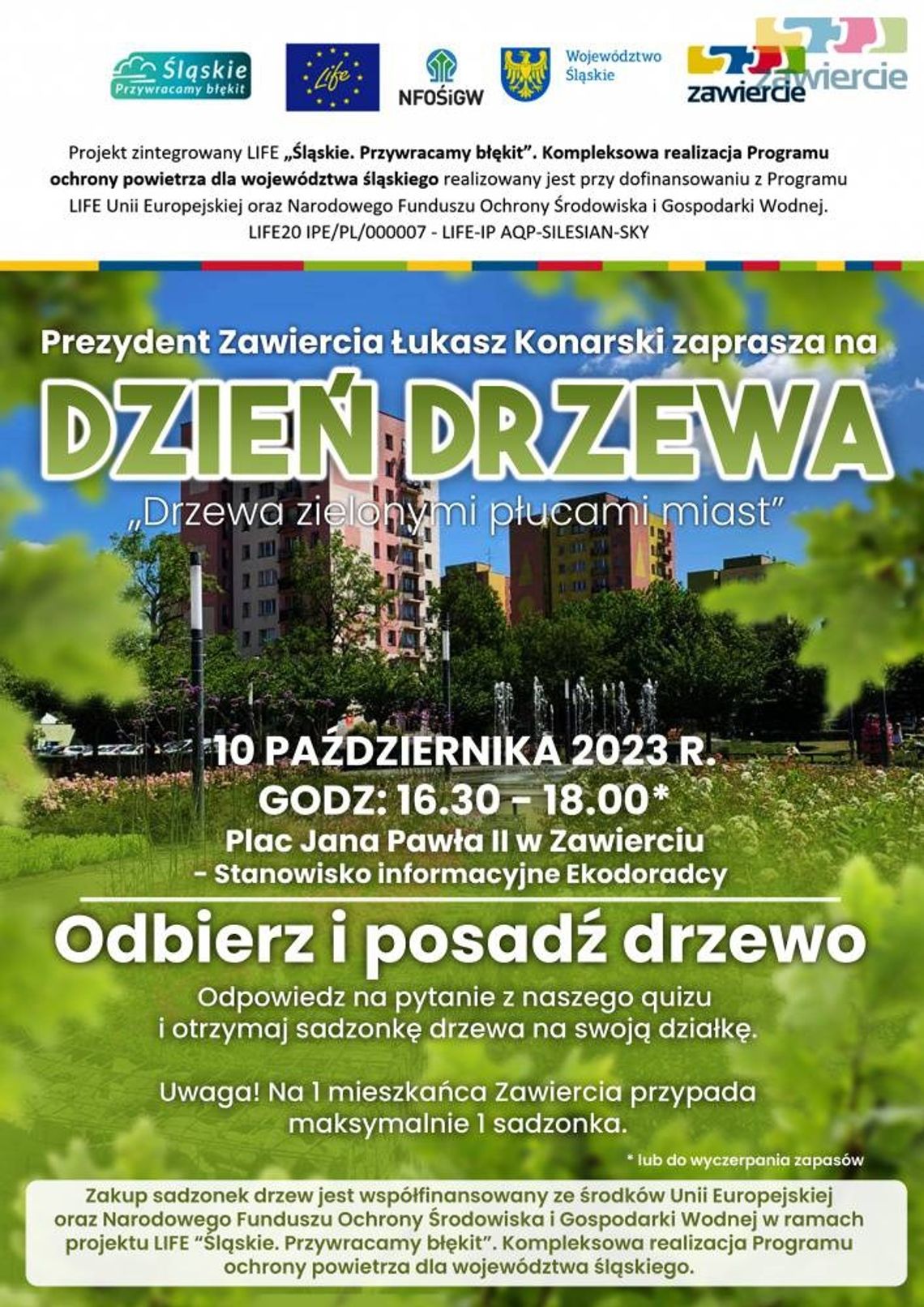 Dzień drzewa- chcesz posadzić drzewo?