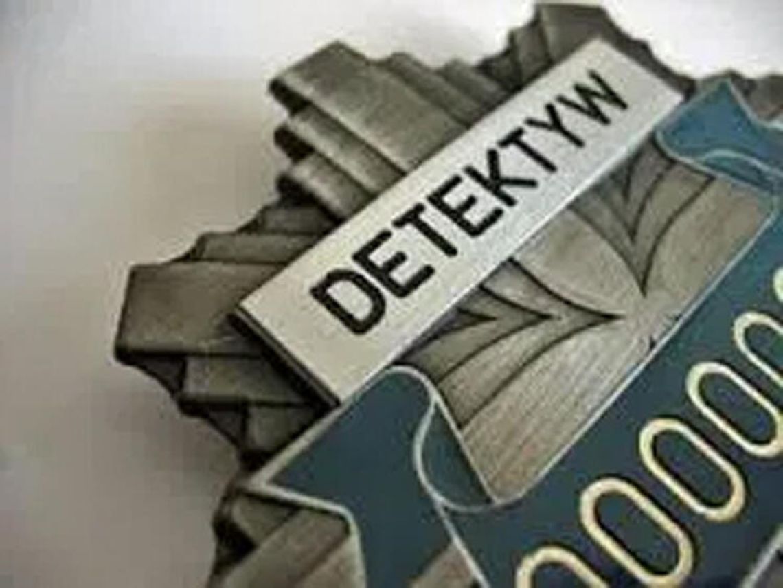 Fałszywy detektyw Fałszywy detektyw