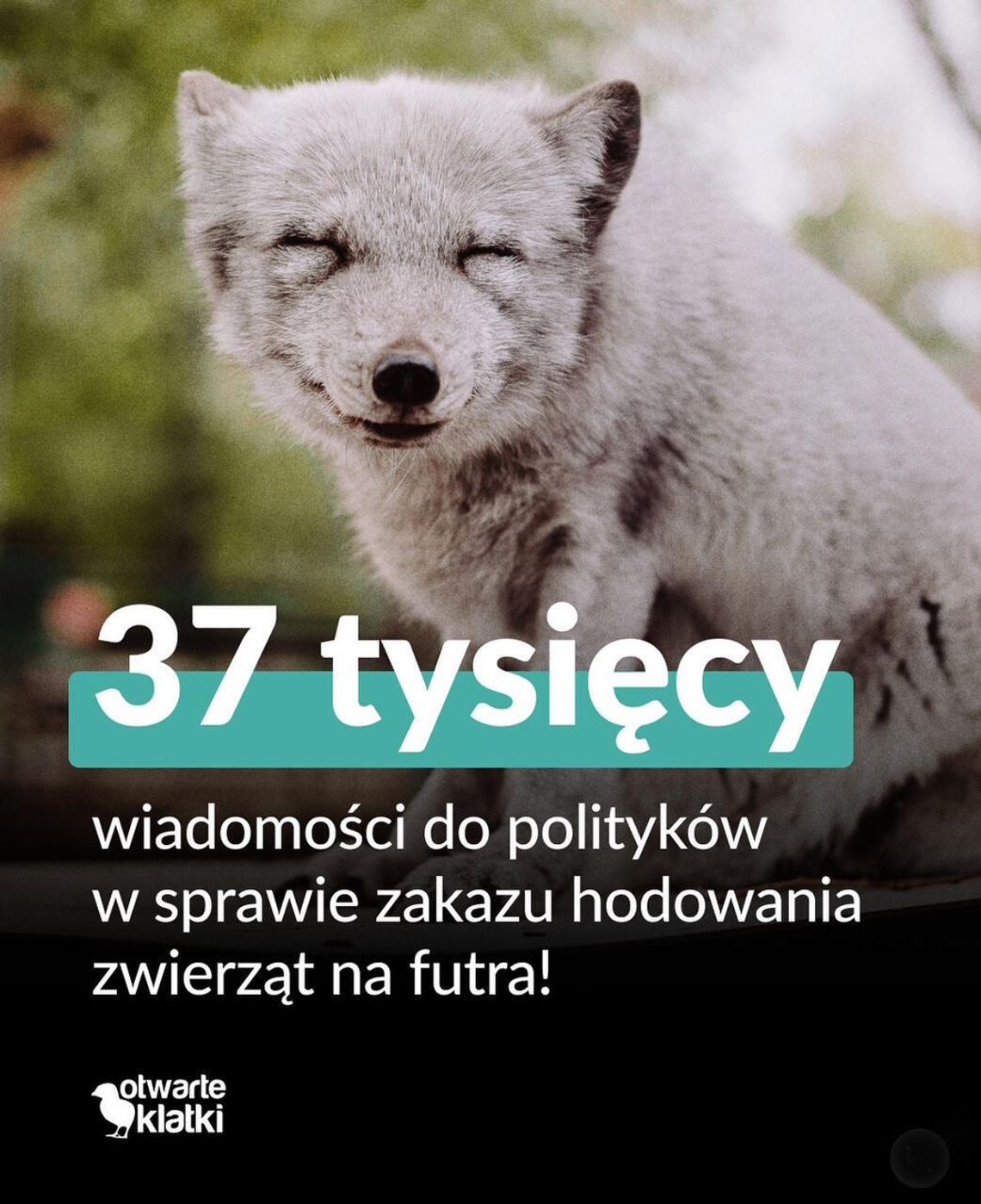 Historyczny moment: Sejm przegłosował zakaz hodowli na futro!