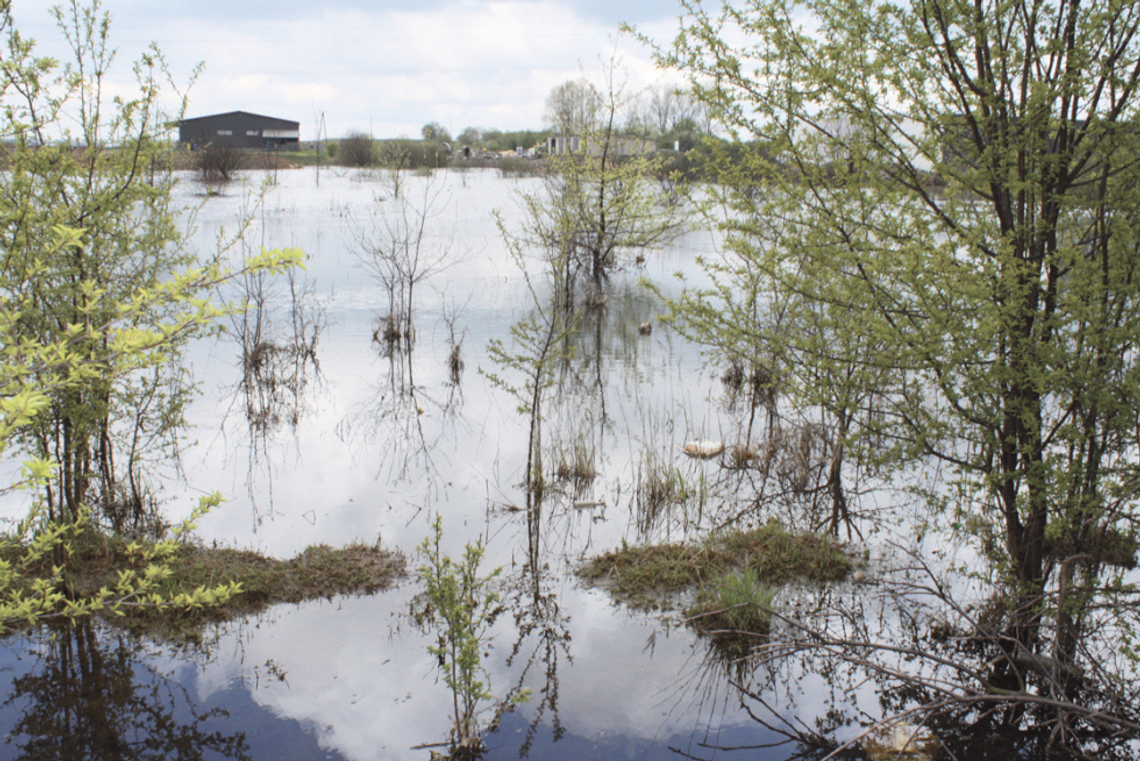 MIASTO SPRZEDA BAJORO I PO PROBLEMIE? MIASTO SPRZEDA BAJORO I PO PROBLEMIE?