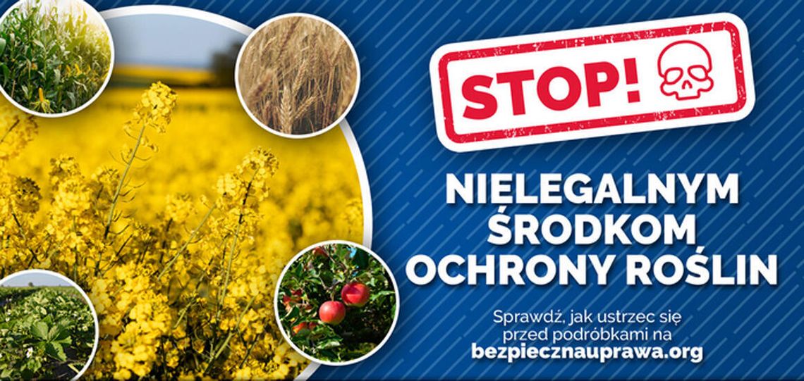 Nielegalne środki ochrony roślin. Spalone pola
