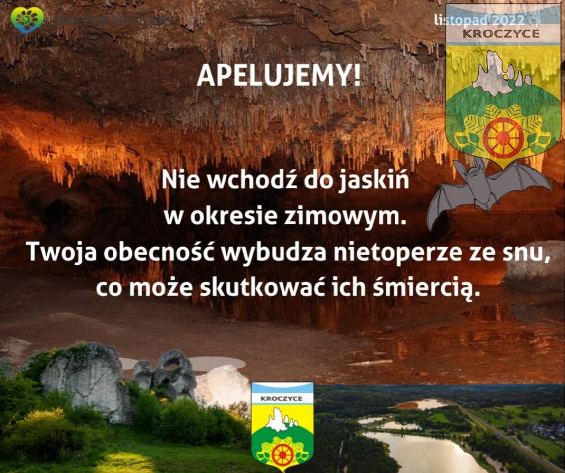 OMIJAJ JASKINIE, NIE BUDŹ NIETOPERZY!