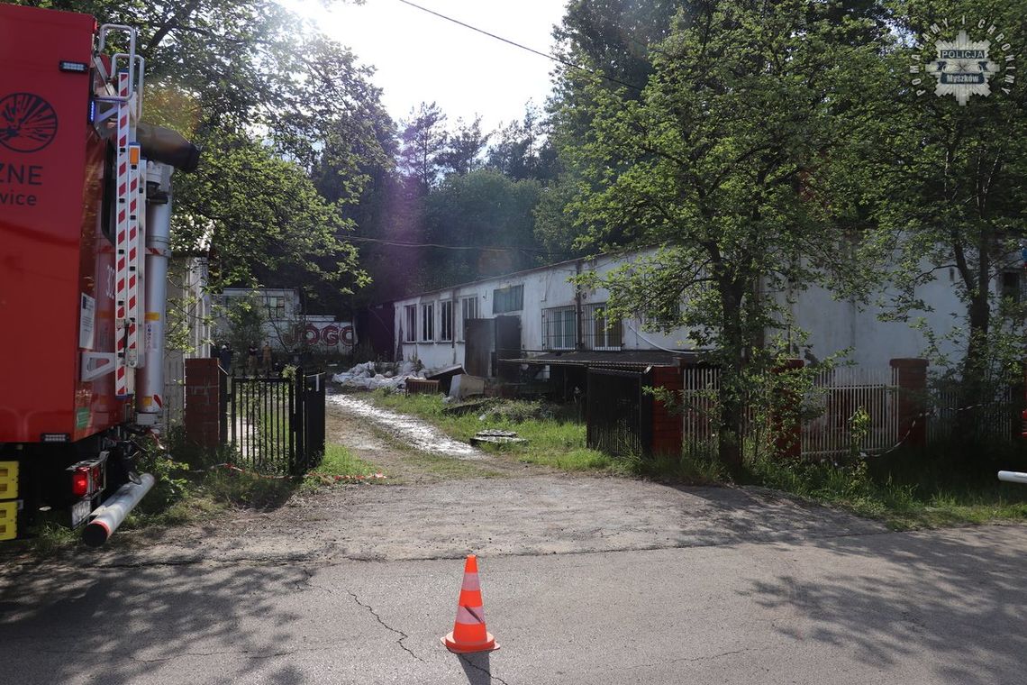POŻAR W LUDWINOWIE W GMINIE NIEGOWA. ZGINĘŁA JEDNA OSOBA. ZDJĘCIA
