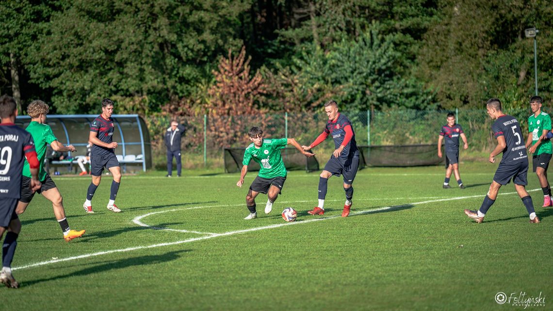 ROSZADY ZA PLECAMI SKALNIAK