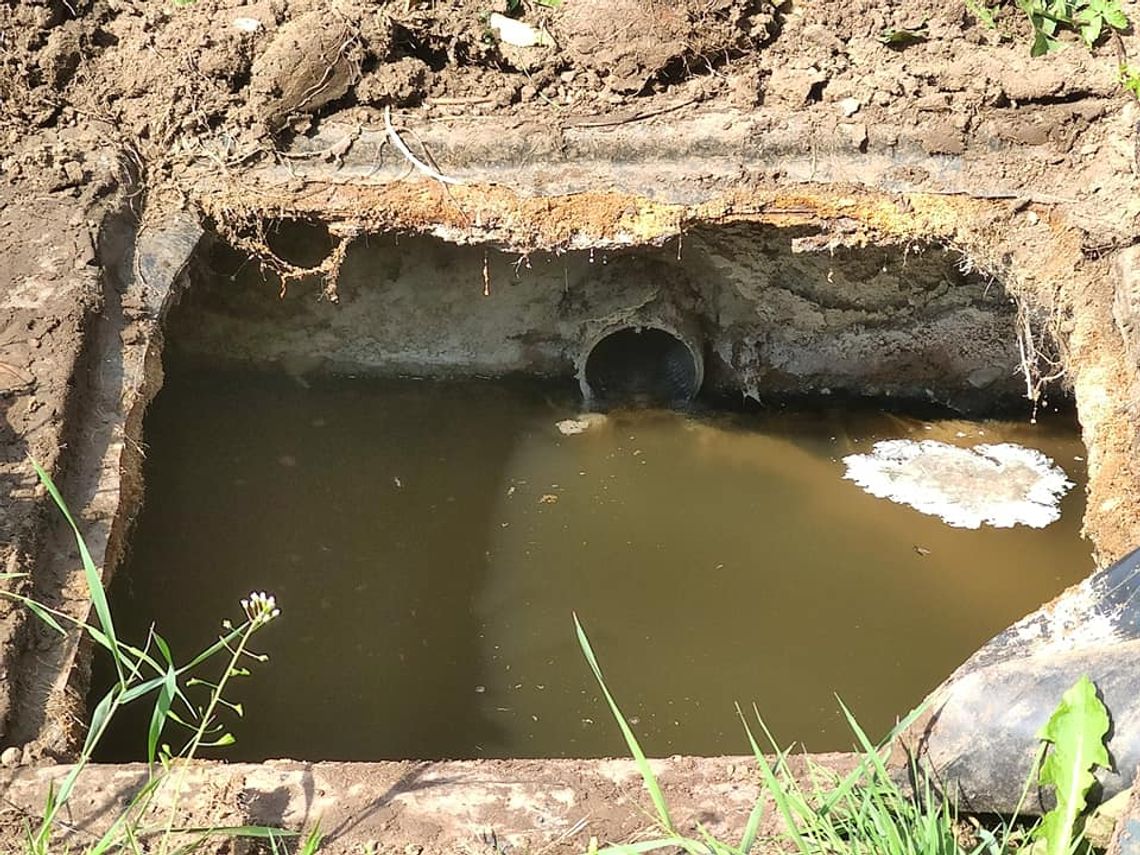 ŚCIEKI TRAFIAJĄ DO RZEK, ROWÓW I NA POLA. JAK POWAŻNY JEST PROBLEM?