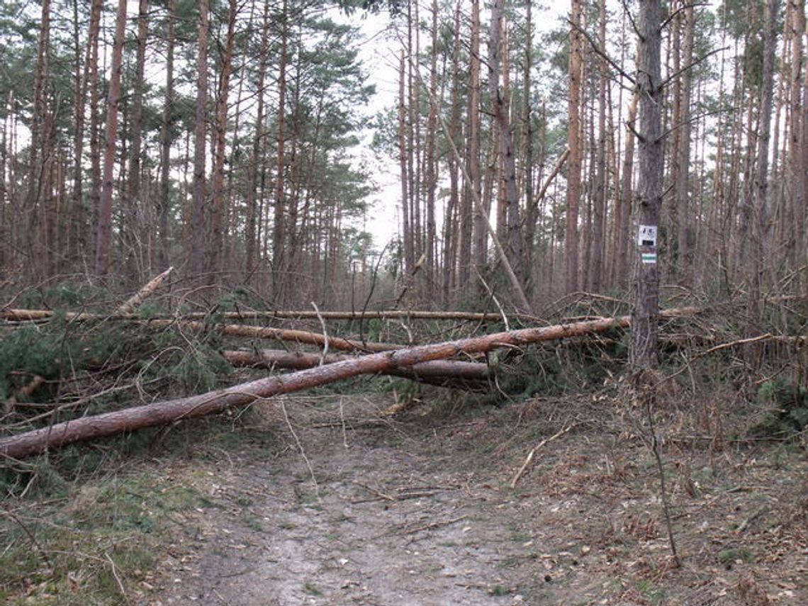 SZLAKI TURYSTYCZNE WCIĄŻ NIE DO PRZEJŚCIA