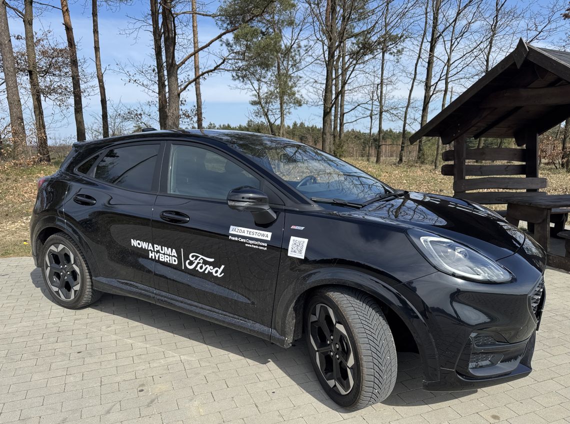 TEN KOT FORDA MA W SOBIE COŚ