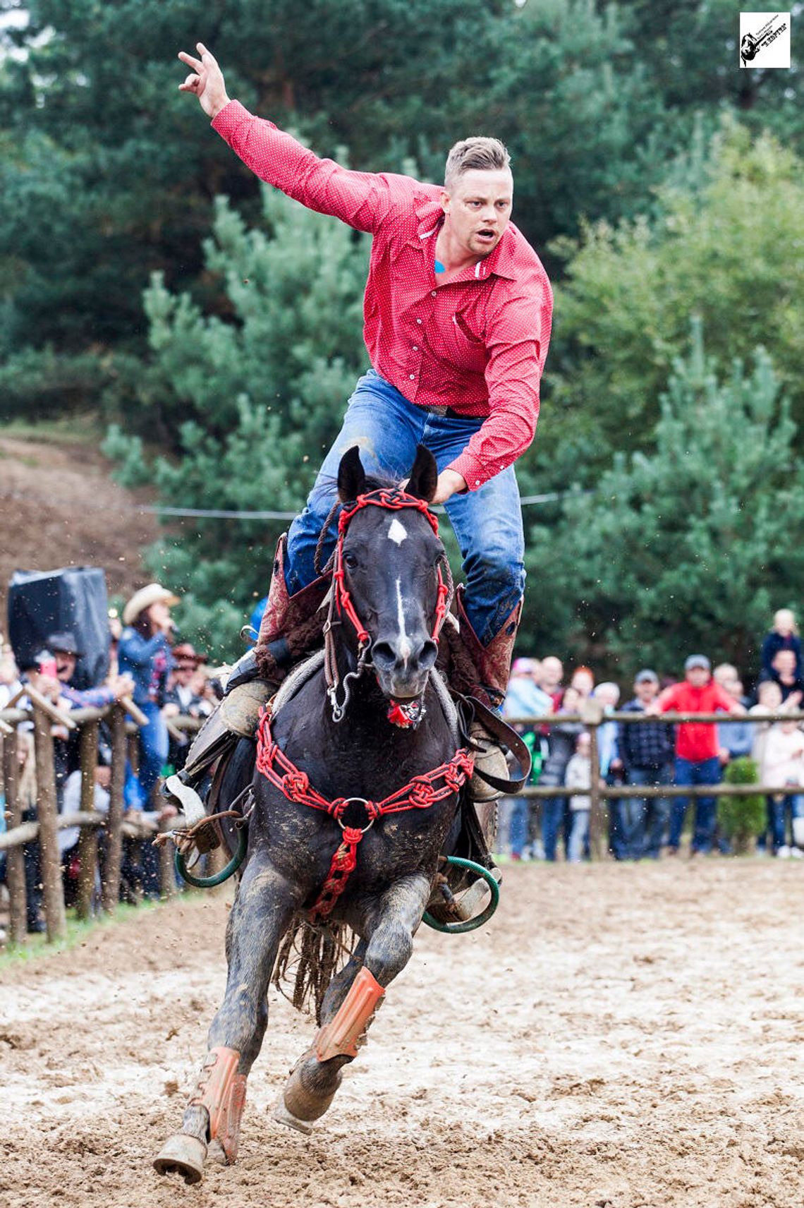VI Festiwalu Miłośników Koni i Muzyki „Z Kopyta” 9-10.08.25r.