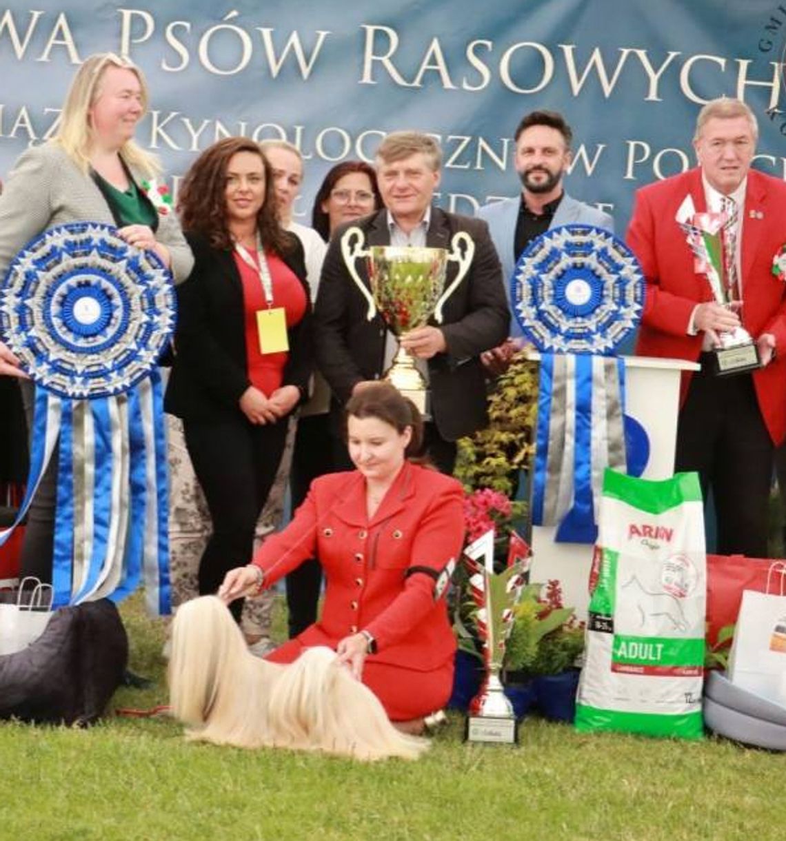 WYSTAWA PSÓW RASOWYCH W GNIAZDOWIE